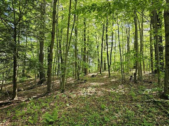 1.4 Acres of Land for Sale in Stoddard, New Hampshire