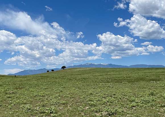 40 Acres of Land for Sale in Rye, Colorado
