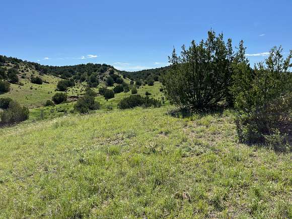 40.3 Acres of Recreational Land for Sale in Pueblo, Colorado