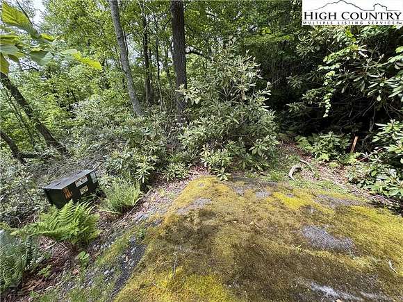 0.74 Acres of Residential Land for Sale in Blowing Rock, North Carolina