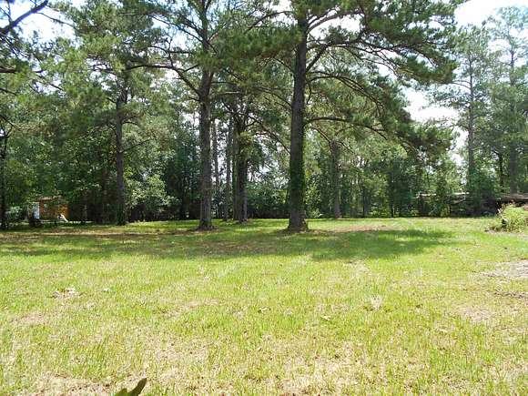 0.5 Acres of Residential Land for Sale in Sour Lake, Texas