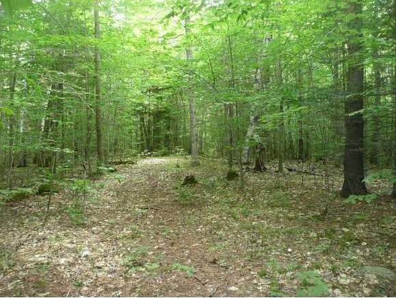 13.6 Acres of Land for Sale in Newport, New Hampshire