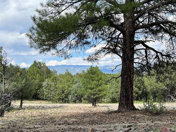 1.9 Acres of Residential Land for Sale in Los Ojos, New Mexico