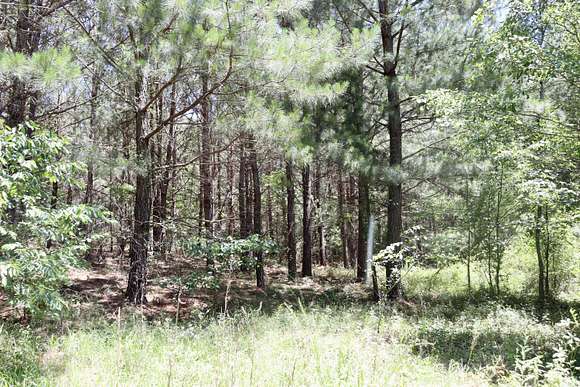 20.9 Acres of Land for Sale in Swansea, South Carolina