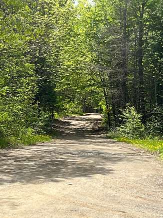 300 Acres of Recreational Land for Sale in Dixmont, Maine - LandSearch