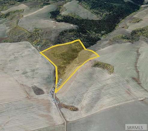 60.8 Acres of Agricultural Land for Sale in Ririe, Idaho