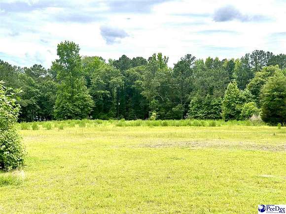 11 Acres of Land for Sale in Chesterfield, South Carolina