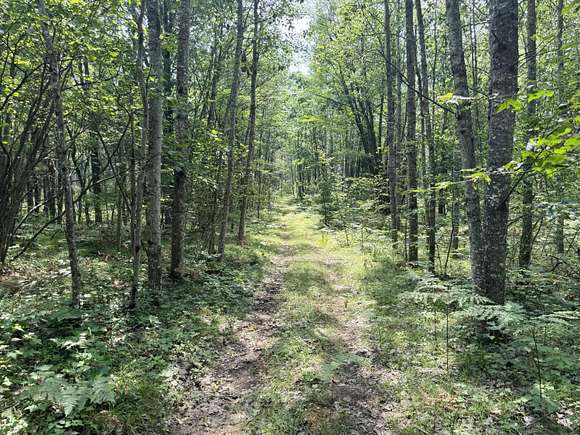 52.94 Acres of Recreational Land for Sale in Lewiston, Michigan