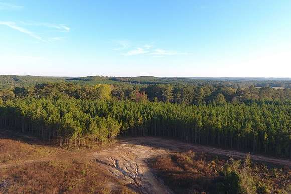 45 Acres of Land for Sale in Elba, Alabama