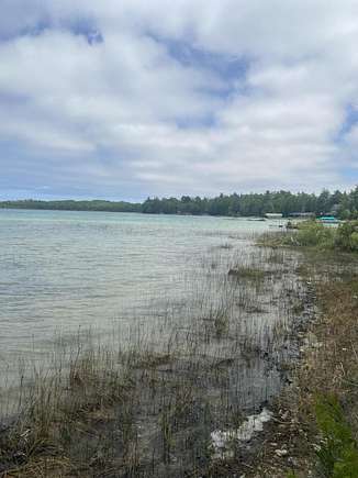 Land for Sale in Presque Isle, Michigan