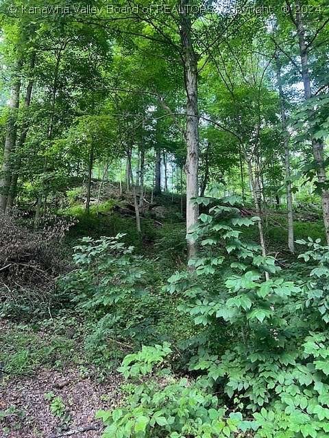 23.22 Acres of Recreational Land for Sale in Poca, West Virginia