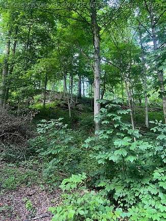23.2 Acres of Recreational Land for Sale in Poca, West Virginia