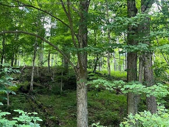 23.22 Acres of Recreational Land for Sale in Poca, West Virginia