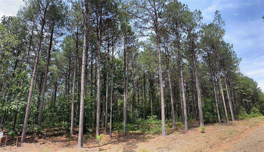 1.003 Acres of Residential Land for Sale in Broken Bow, Oklahoma