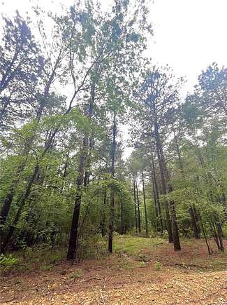 1.031 Acres of Residential Land for Sale in Broken Bow, Oklahoma