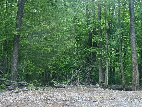 10 Acres of Residential Land for Sale in Exeland, Wisconsin