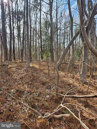 0.36 Acres of Residential Land for Sale in Montross, Virginia