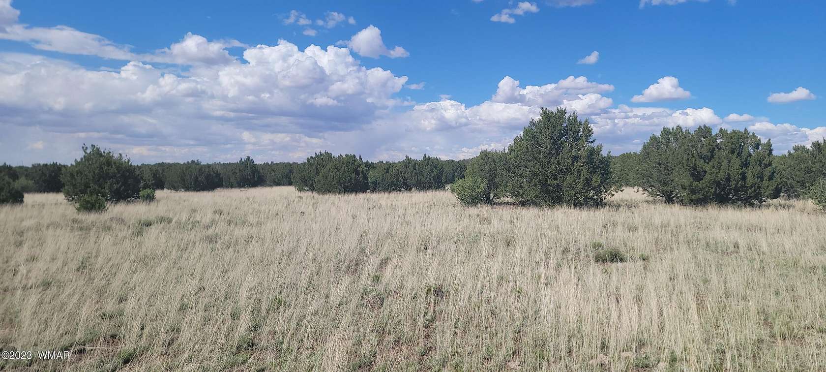 2.46 Acres of Residential Land for Sale in Show Low, Arizona