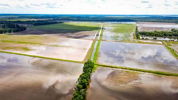 517 Acres of Recreational Land & Farm for Sale in Marksville, Louisiana