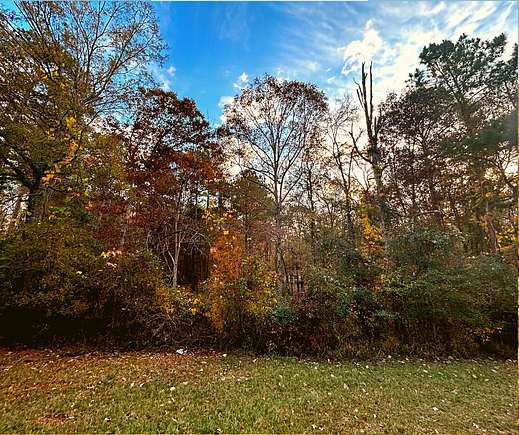 0.7 Acres of Residential Land for Sale in Greensboro, Georgia