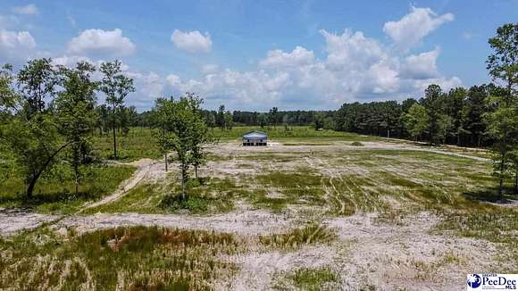 10 Acres of Land for Sale in Marion, South Carolina