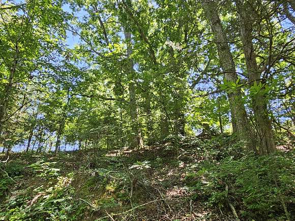 66.1 Acres of Recreational Land for Sale in Newport, Tennessee