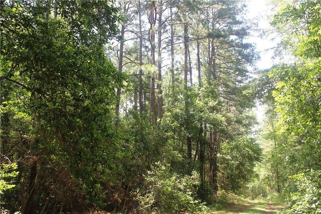 10.34 Acres of Recreational Land for Sale in Navasota, Texas