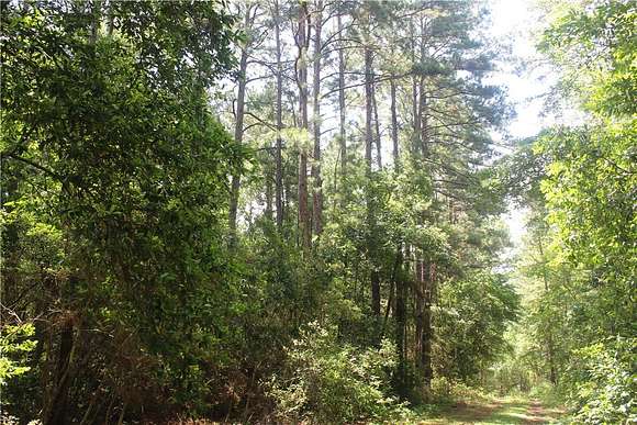 10.34 Acres of Recreational Land for Sale in Navasota, Texas