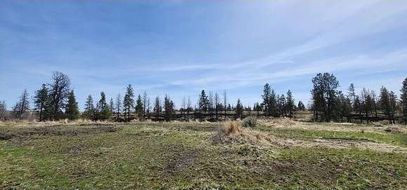 20 Acres of Recreational Land for Sale in Davenport, Washington