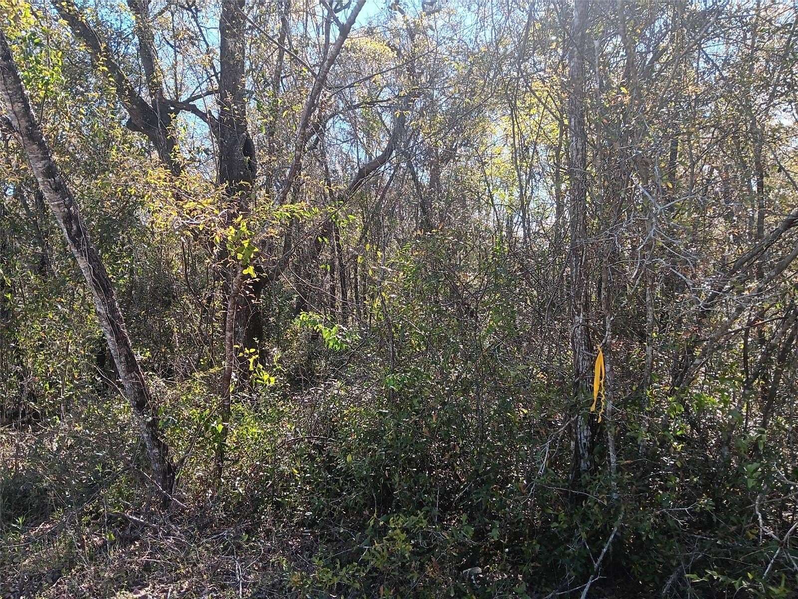 0.55 Acres of Land for Sale in Bronson, Florida