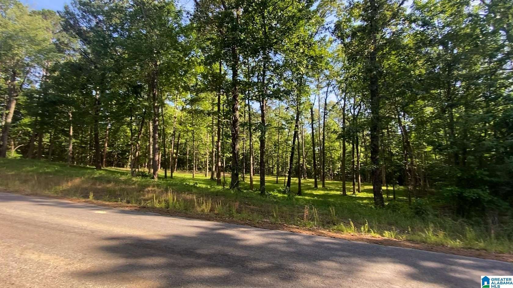 3.5 Acres of Land for Sale in Ashville, Alabama
