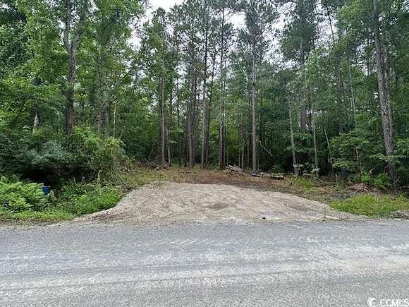 5 Acres of Land for Sale in Green Sea, South Carolina