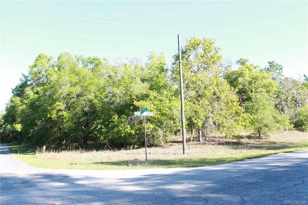 0.41 Acres of Land for Sale in Citrus Springs, Florida
