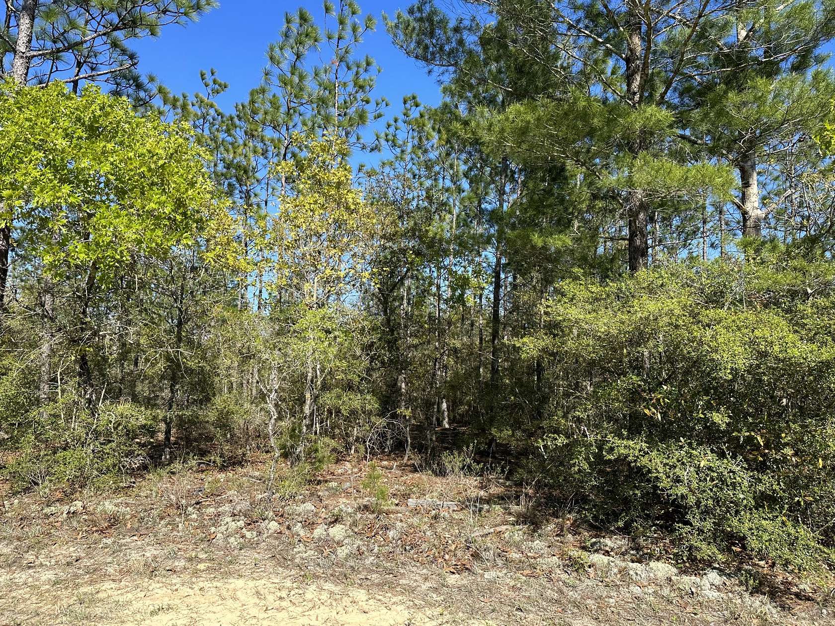 1 Acre of Land for Sale in Crestview, Florida