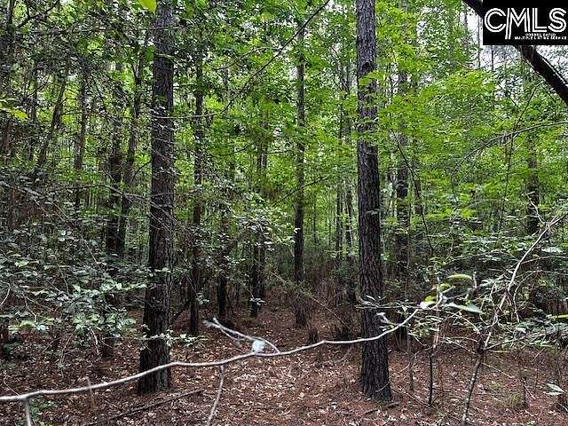 2 Acres of Residential Land for Sale in Blythewood, South Carolina