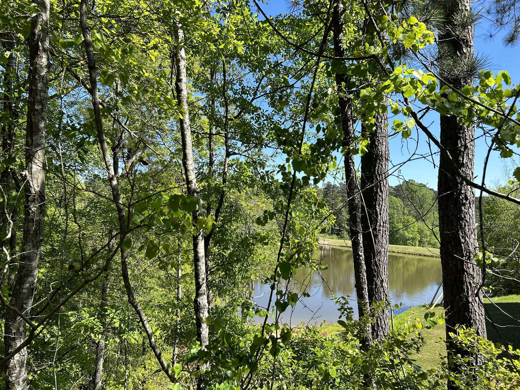 0.59 Acres of Residential Land for Sale in Aiken, South Carolina