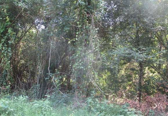 1.116 Acres of Land for Sale in Shreveport, Louisiana