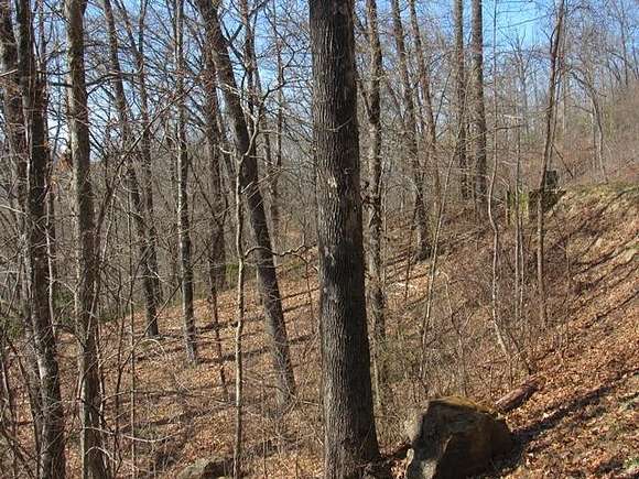 1.4 Acres of Residential Land for Sale in Cowee Township, North Carolina
