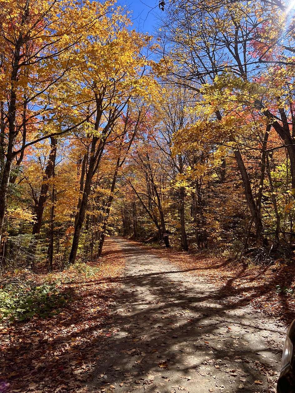 32.8 Acres of Recreational Land for Sale in Sandy River Plantation, Maine