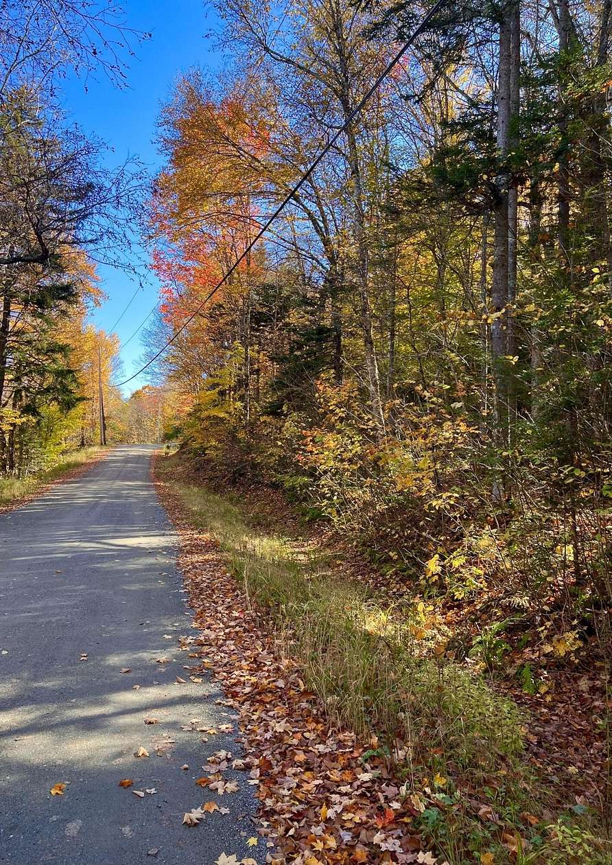 32.8 Acres of Recreational Land for Sale in Sandy River Plantation, Maine