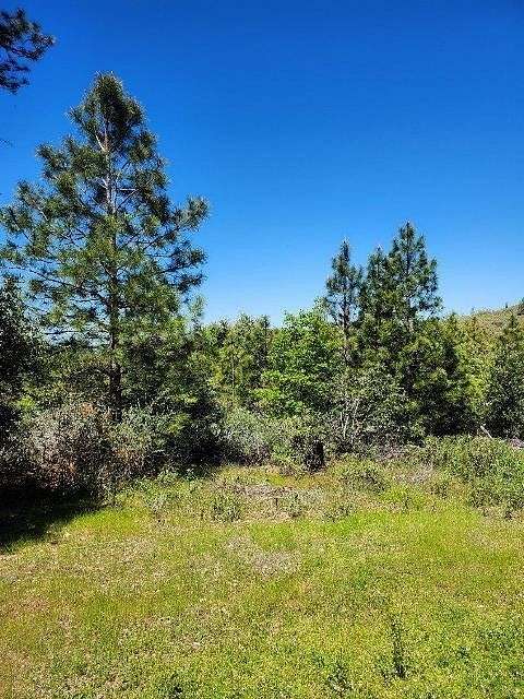 20 Acres of Land for Sale in Groveland, California