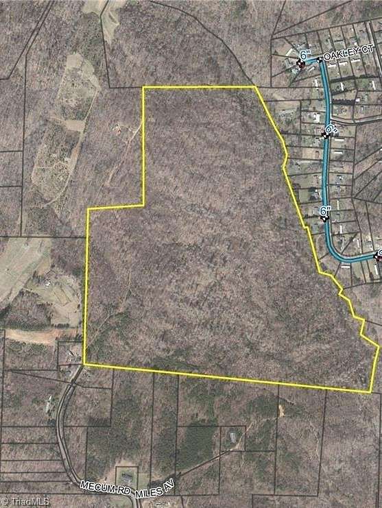 99.2 Acres of Land for Sale in Walkertown, North Carolina