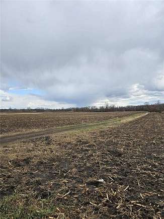 120 Acres of Agricultural Land for Sale in Watkins, Minnesota