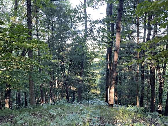 16 Acres of Land for Sale in Newaygo, Michigan