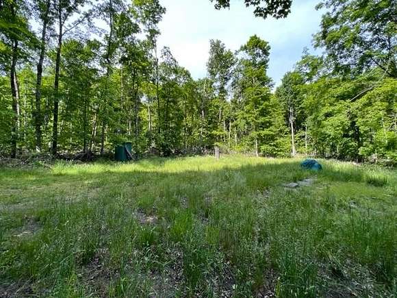 9.4 Acres of Land for Sale in Wolverine, Michigan