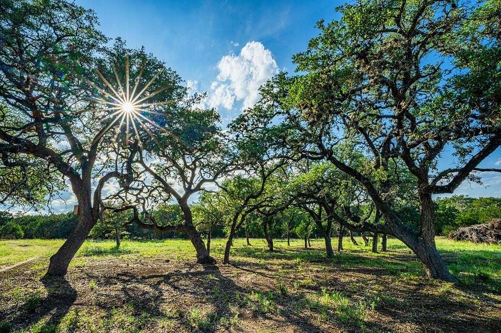 35.06 Acres of Agricultural Land for Sale in Medina, Texas