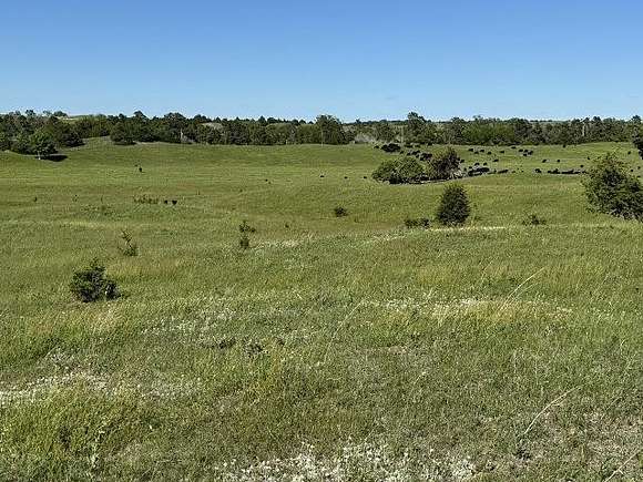 9 Acres of Residential Land for Sale in Burwell, Nebraska