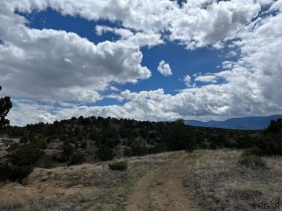 5 Acres of Agricultural Land for Sale in Coal Creek, Colorado