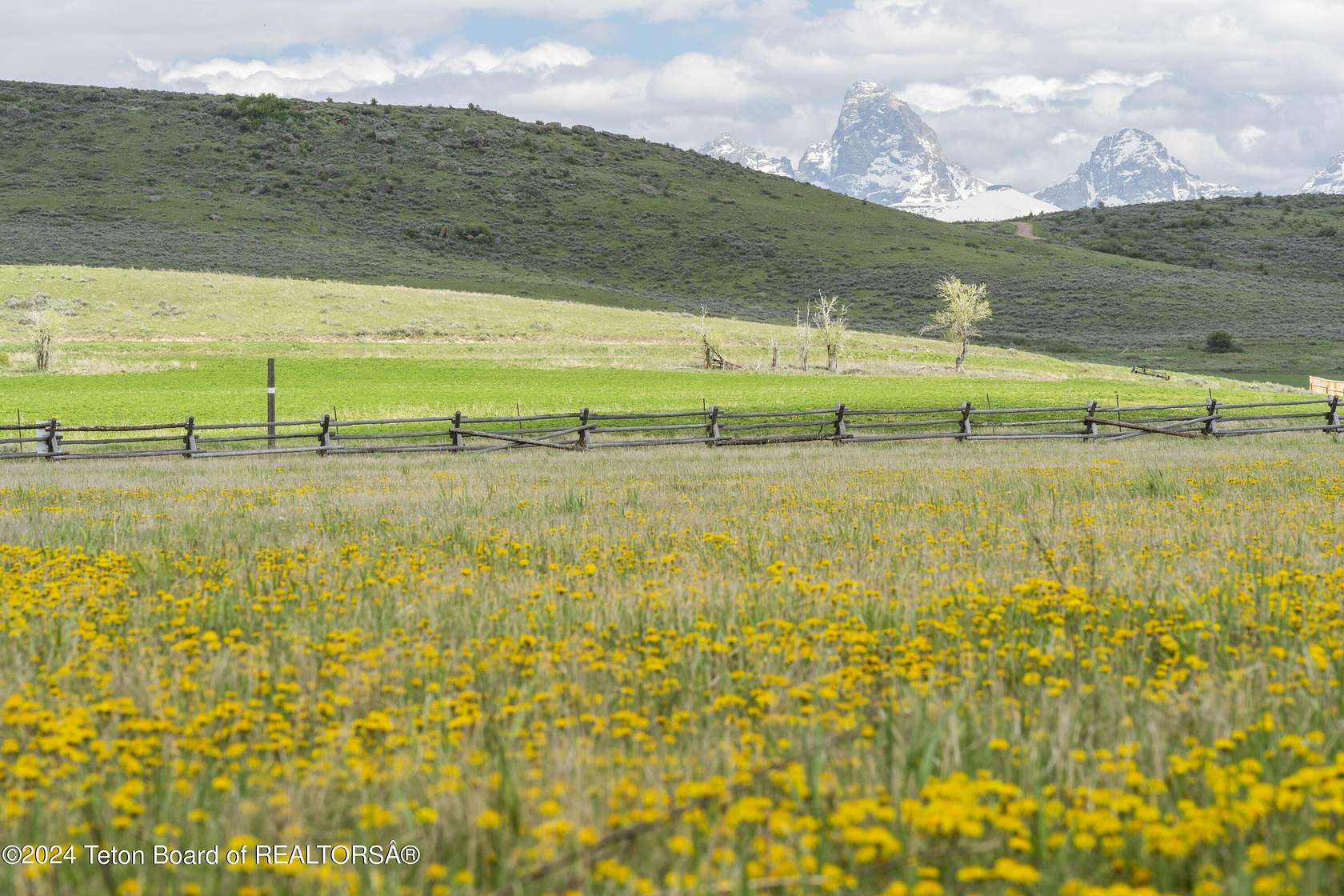 4 Acres of Residential Land for Sale in Tetonia, Idaho