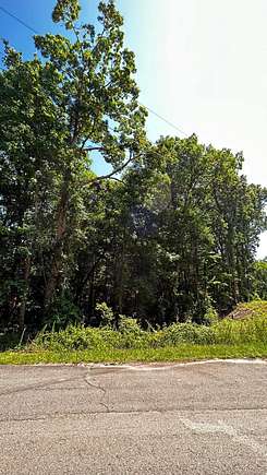 0.41 Acres of Residential Land for Sale in Saulsbury, Tennessee